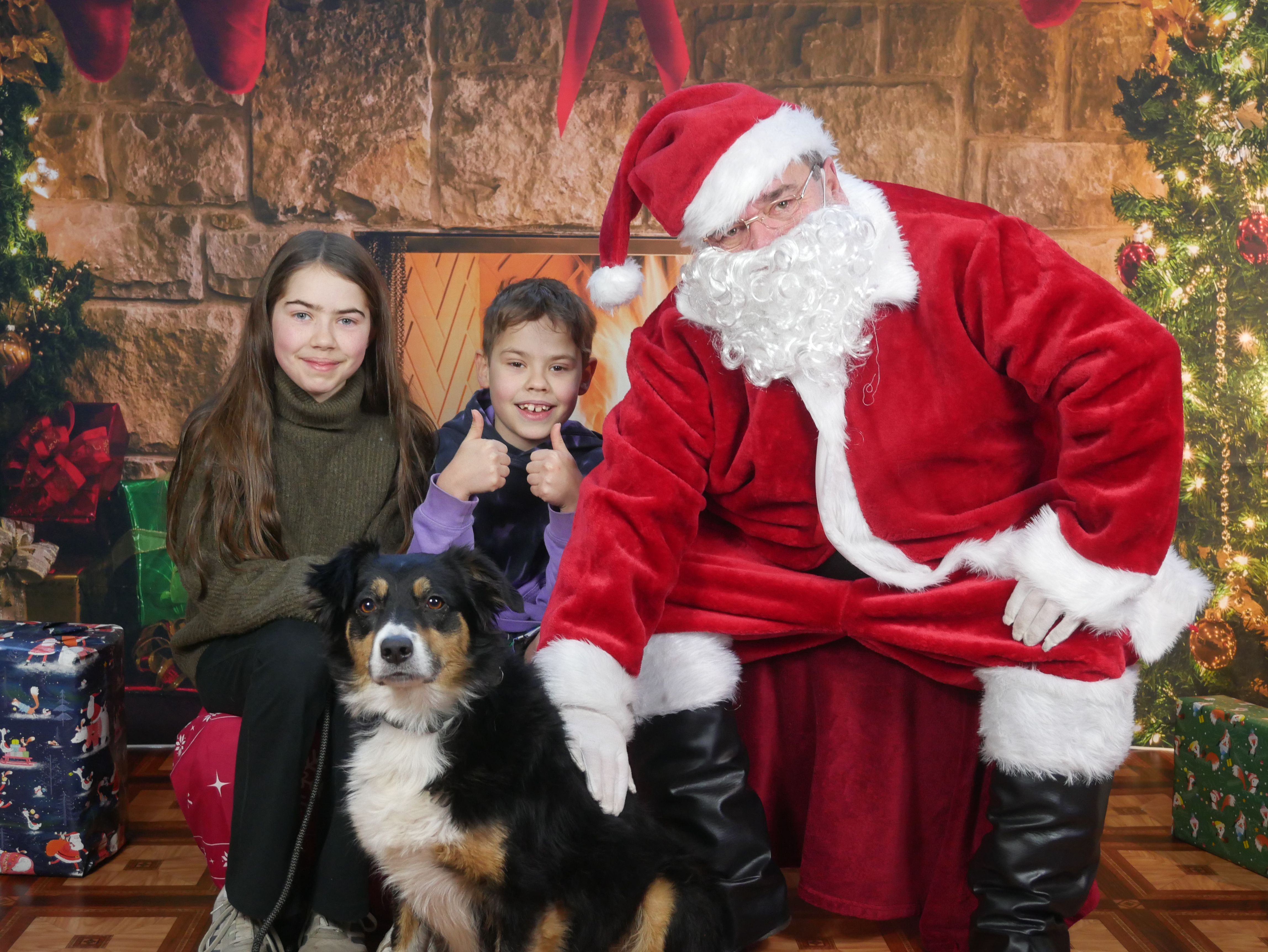 Santa Paws with Guide Dogs NI 