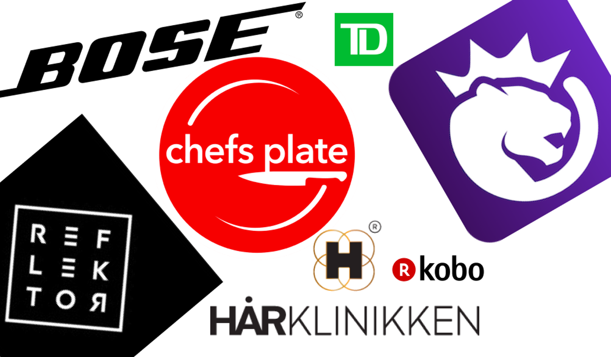 Companies Hassan has worked with