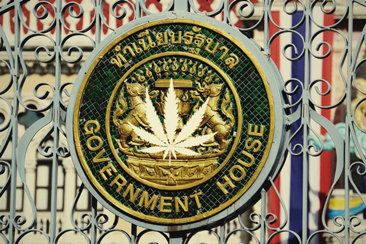 Thailand Legalizes Cannabis For Medical Use