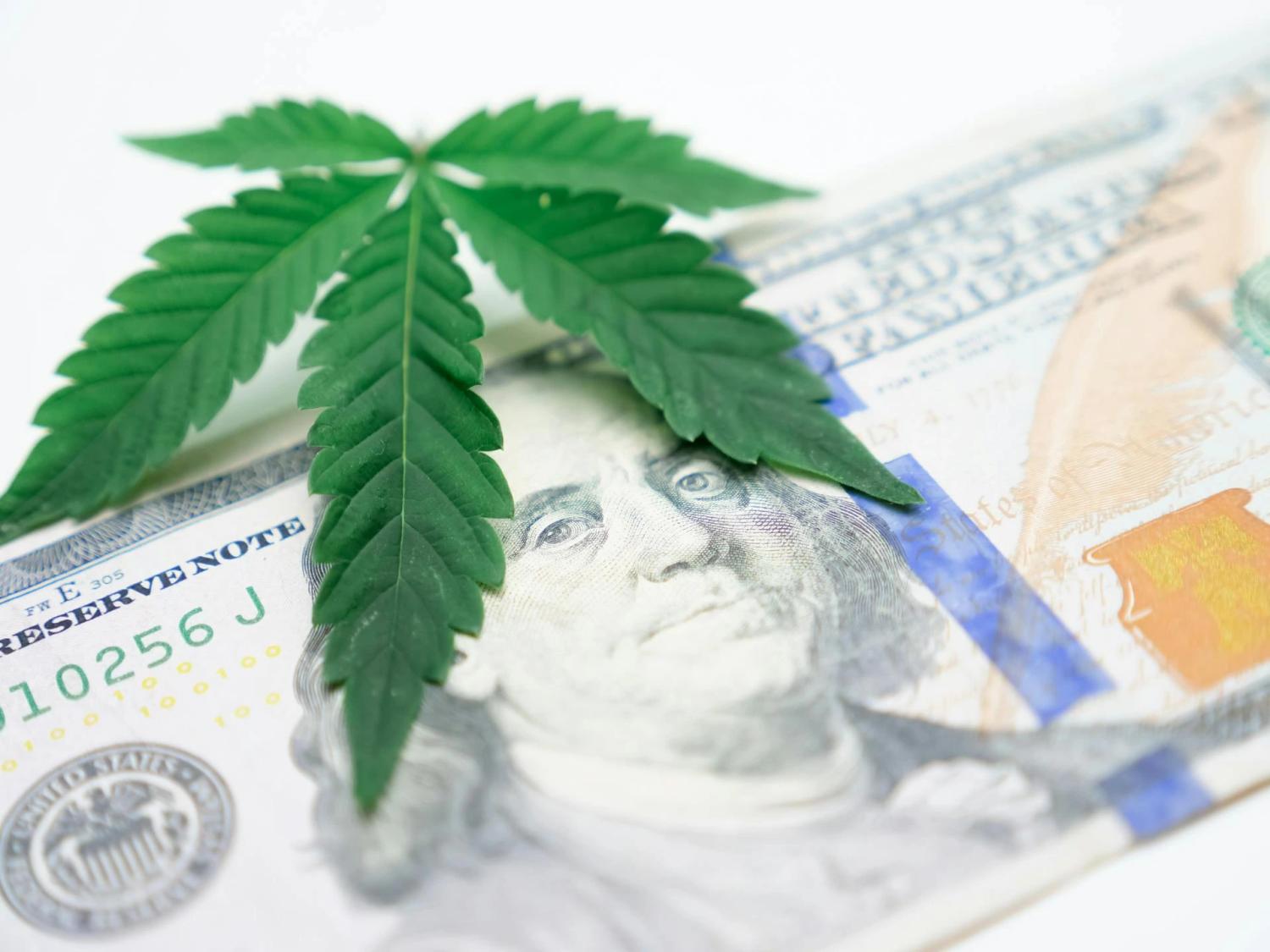 Cannabis Banking & Finance