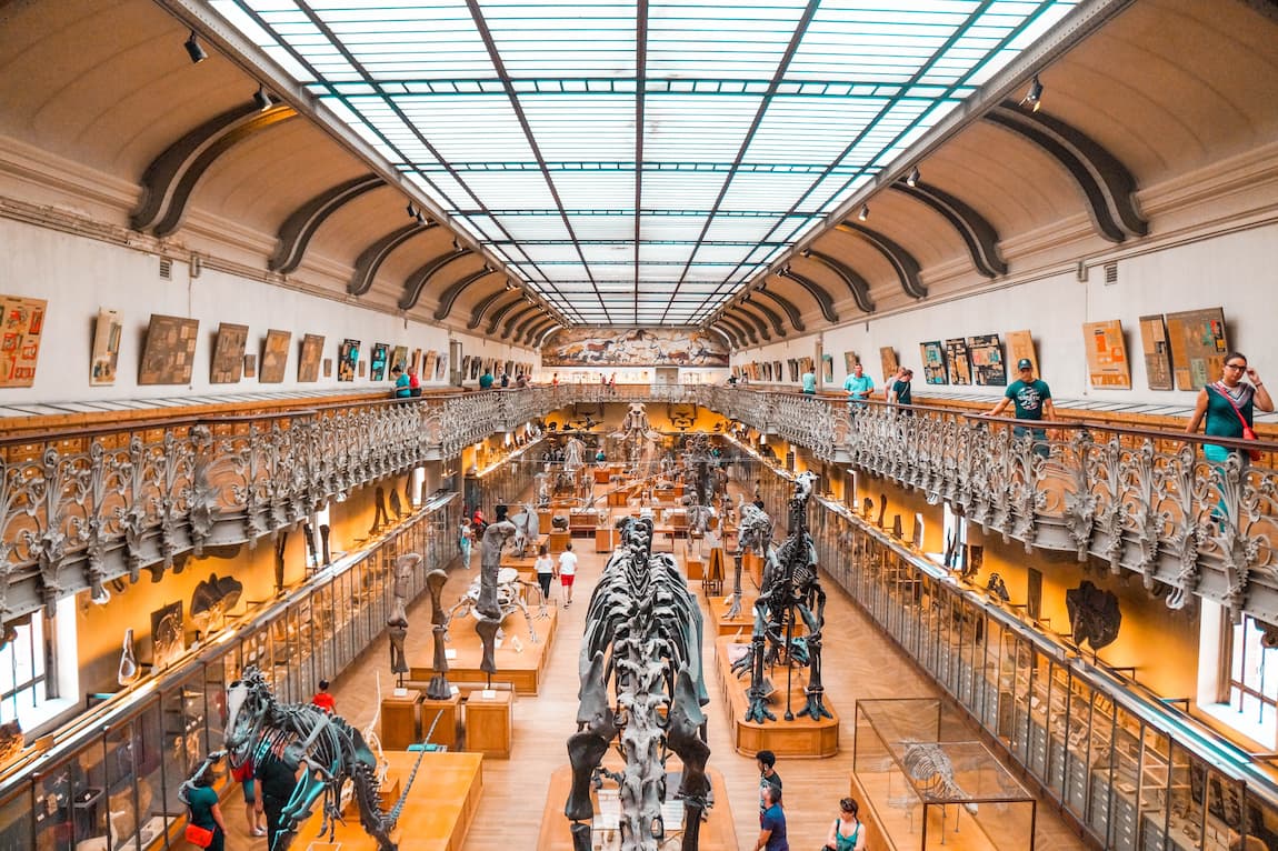 10 Animals Humans Directly Drove to Extinction