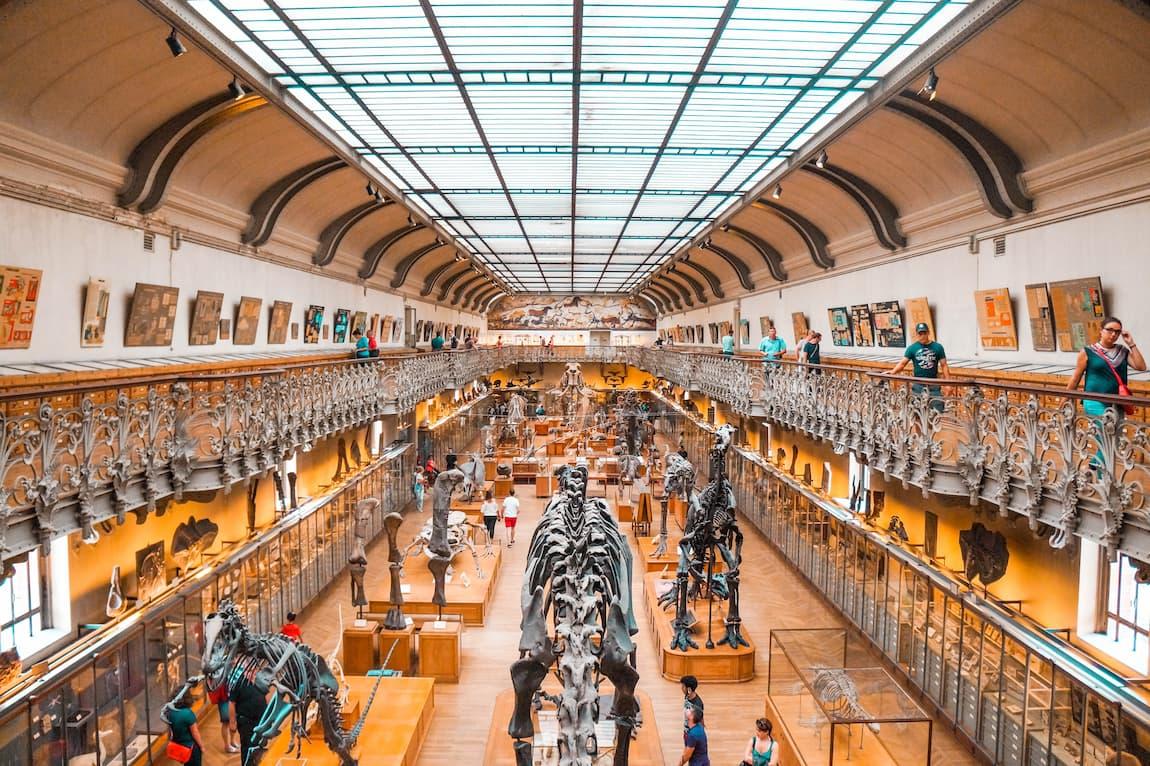 10 Animals Humans Directly Drove to Extinction