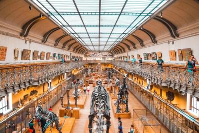 10 Animals Humans Directly Drove to Extinction