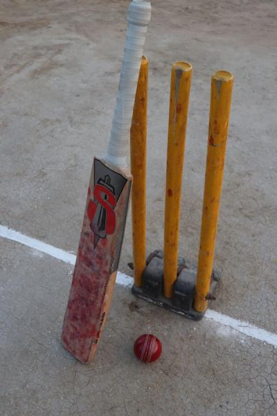 How to Get Into Cricket as a Brand New Fan