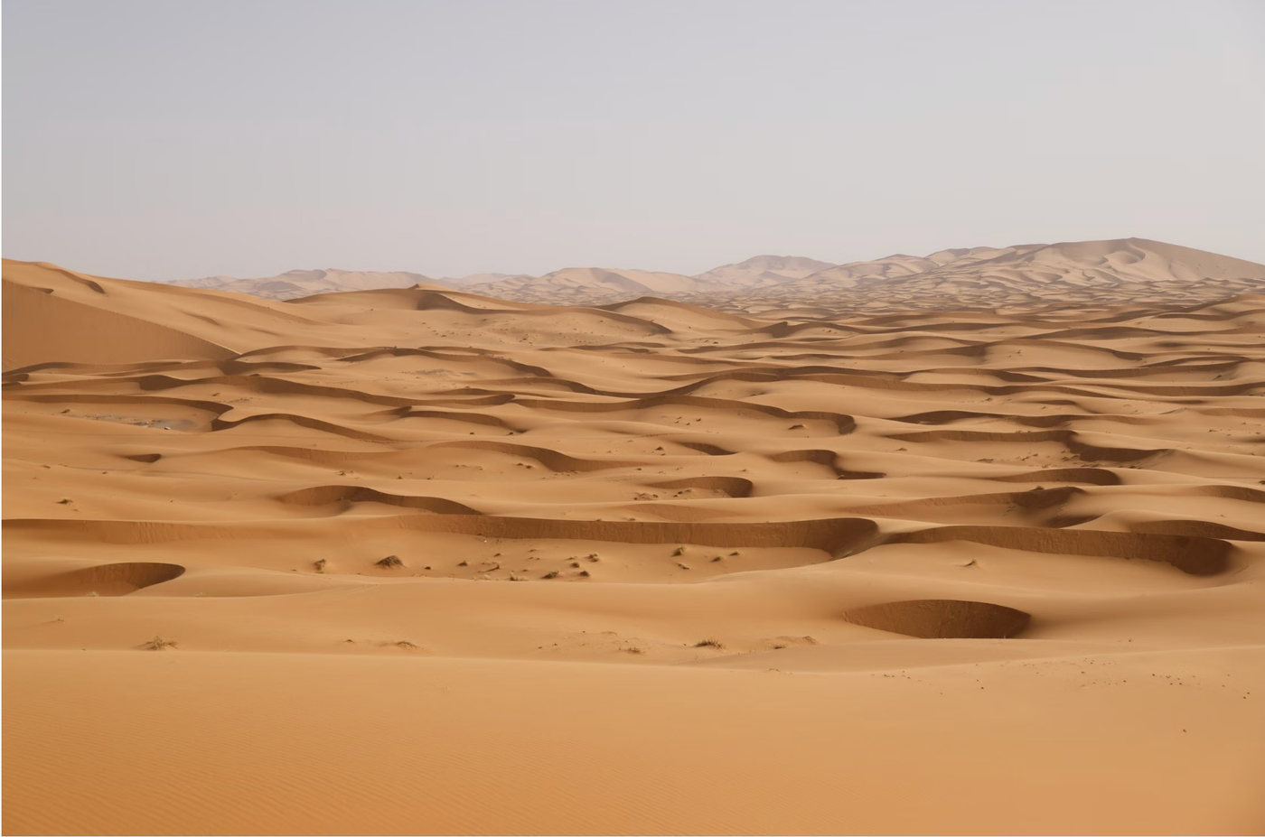 10 Desert Facts That Are the Opposite of What You Expect