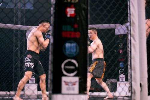 How to Get Into MMA as a Fan Without Already Following Combat Sports