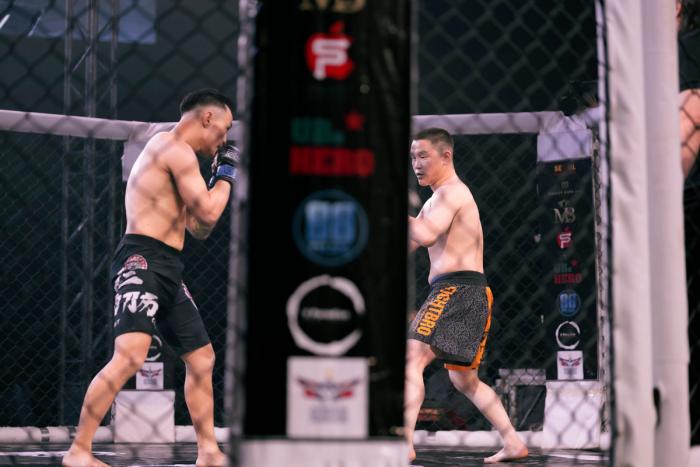 How to Get Into MMA as a Fan Without Already Following Combat Sports