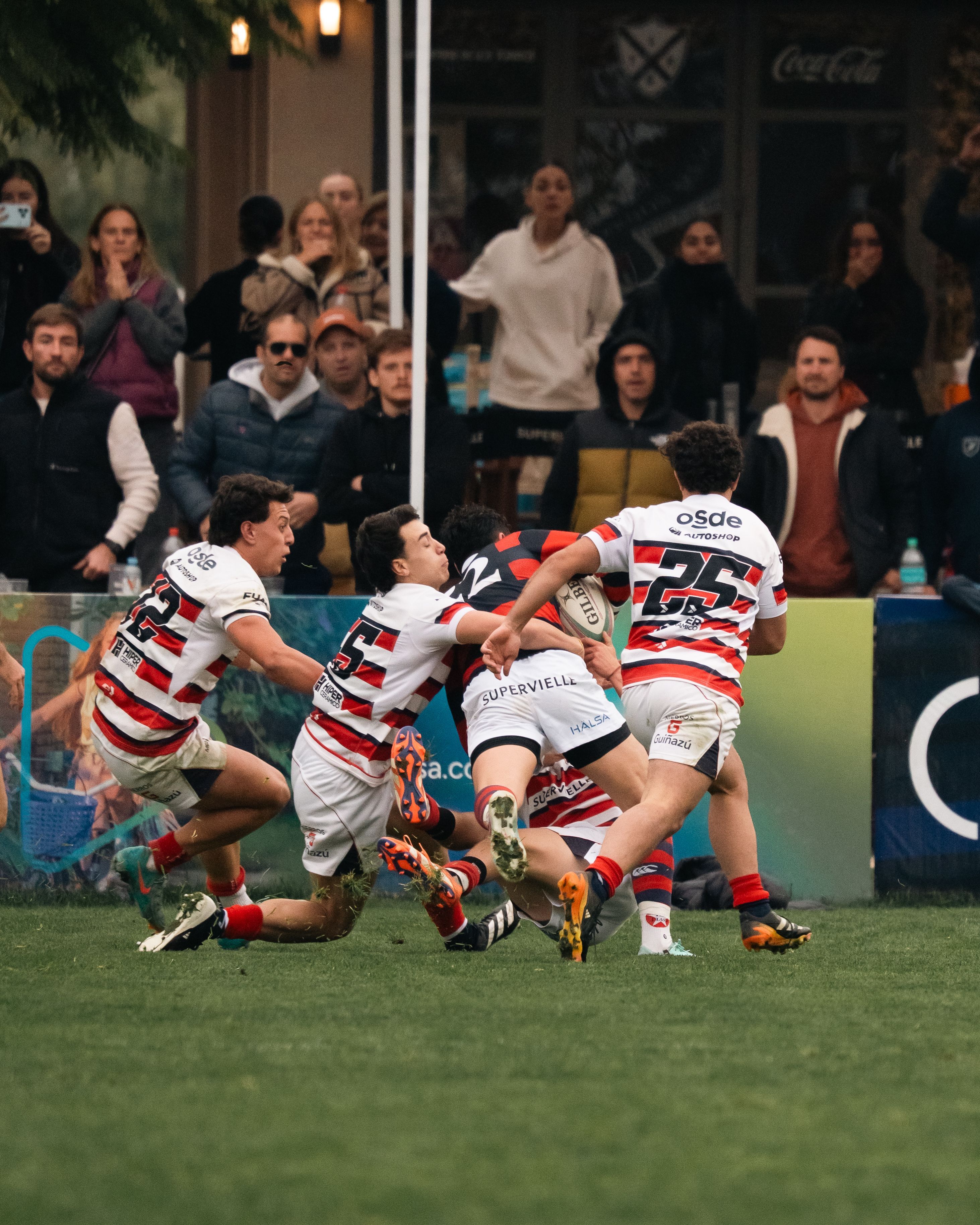 How to Get Into Rugby as a Brand New Fan