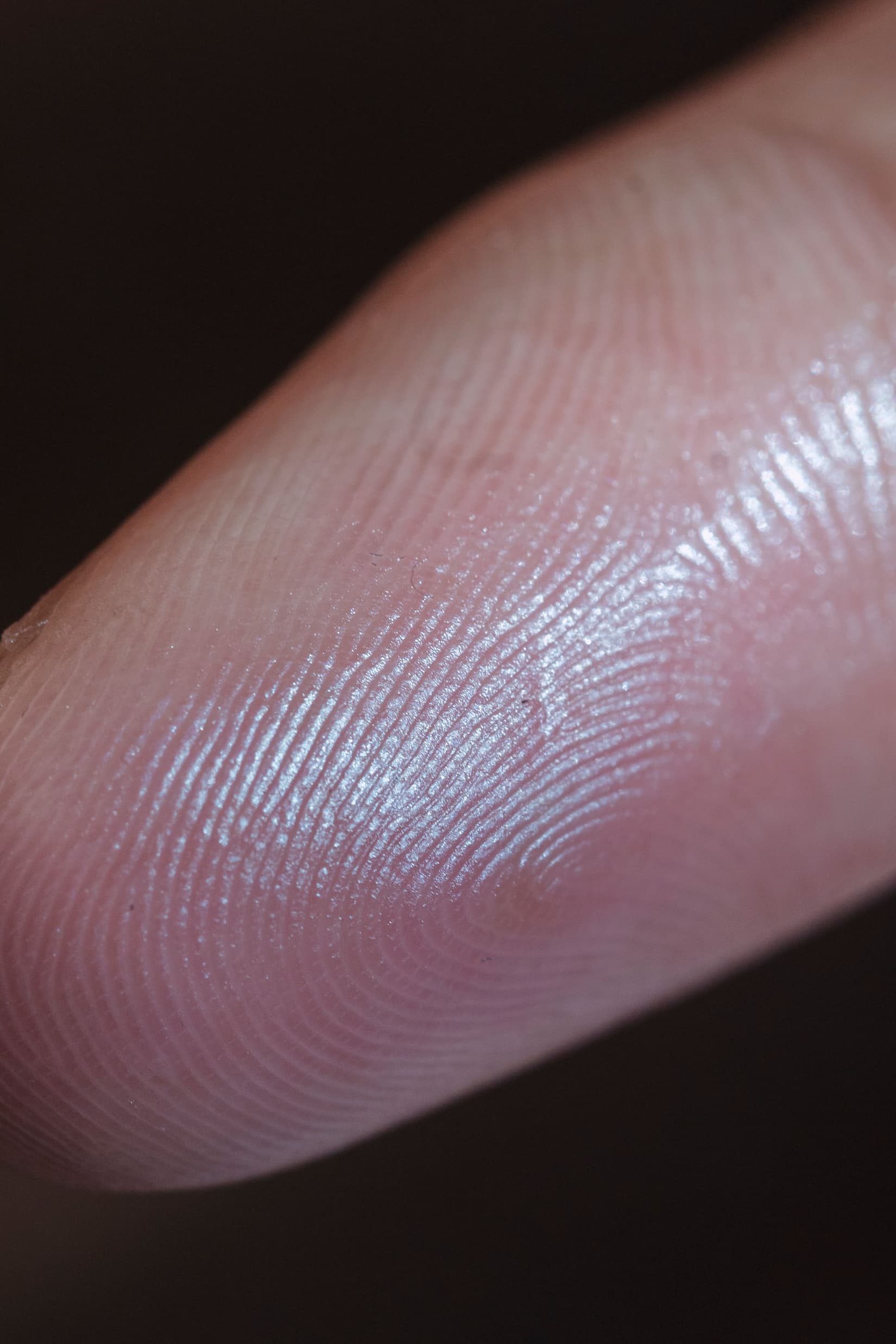 Why Your Fingerprints Are the Most Unique Thing About You