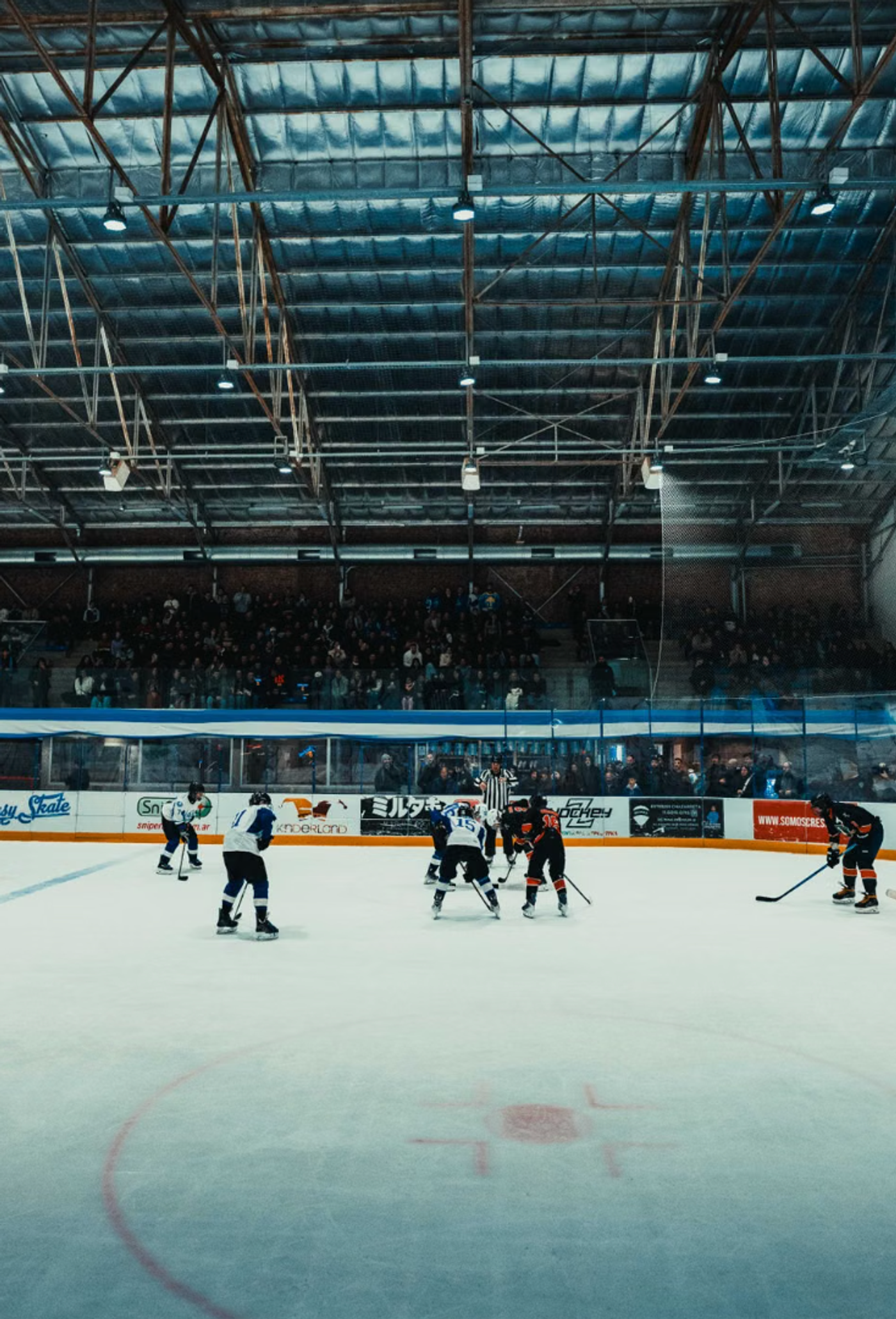 How to Get Into Ice Hockey as a Brand New Fan