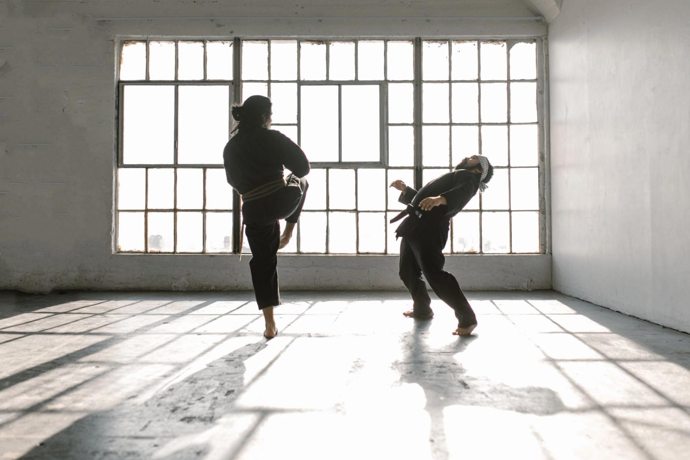 The Best Martial Arts Films Ever Made, Ranked