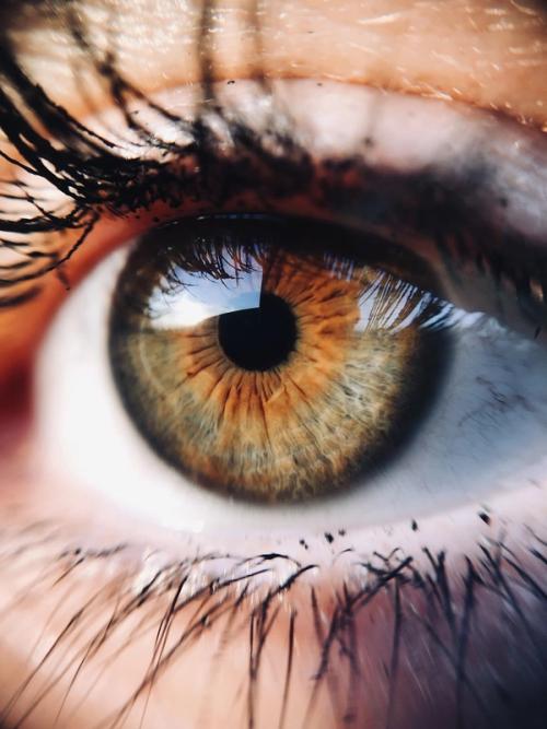 10 Things About the Human Eye That Even Opticians Find Surprising