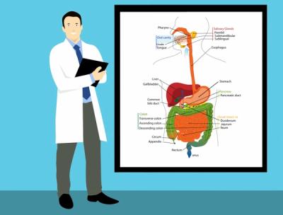 10 Things Nobody Told You About the Human Body