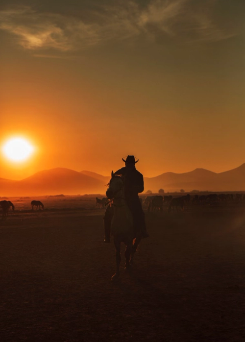 The Best Western Films Ever Made, Ranked