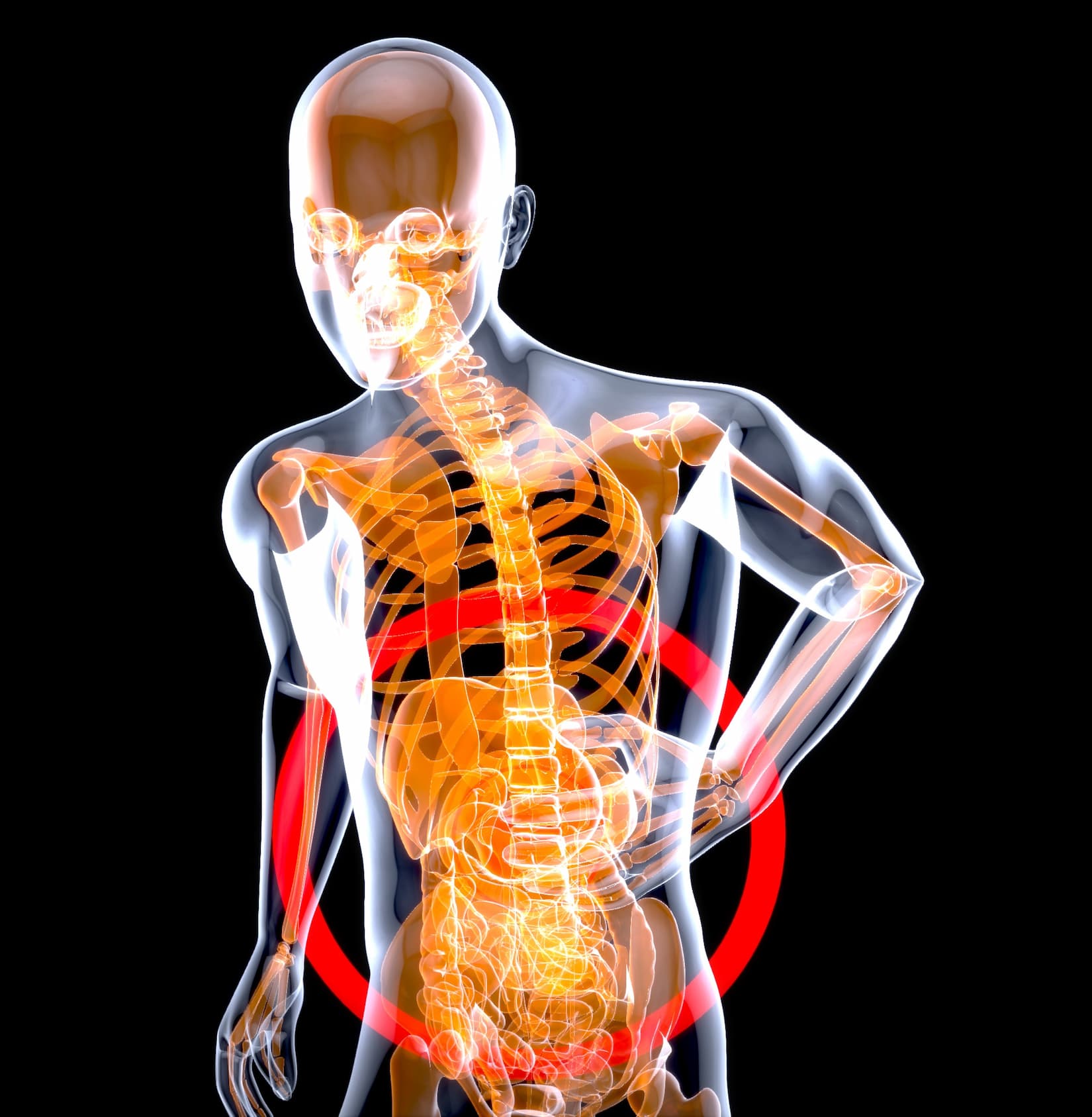 Why Your Gut Is Essentially a Second Brain (And What That Means)