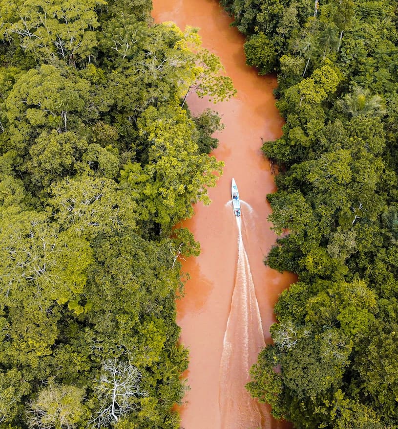 10 Amazon Rainforest Facts That Will Change How You See the Planet