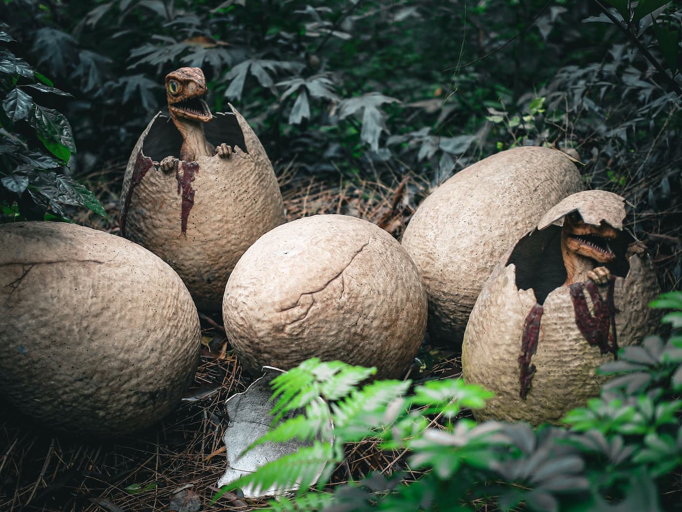 10 Misconceptions About Evolution That Most People Still Believe