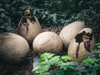 10 Misconceptions About Evolution That Most People Still Believe