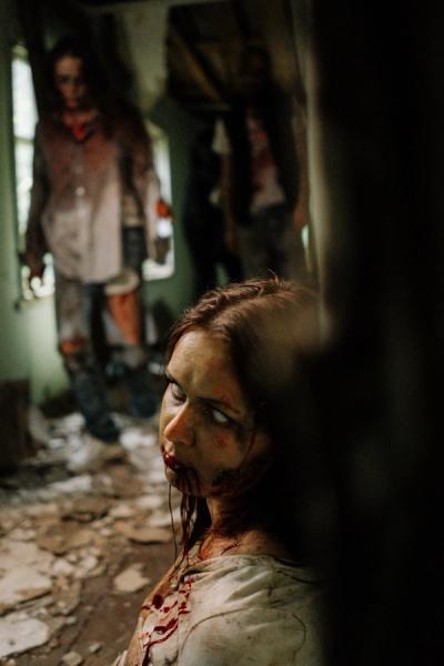 The Best Zombie Films Ever Made, Ranked
