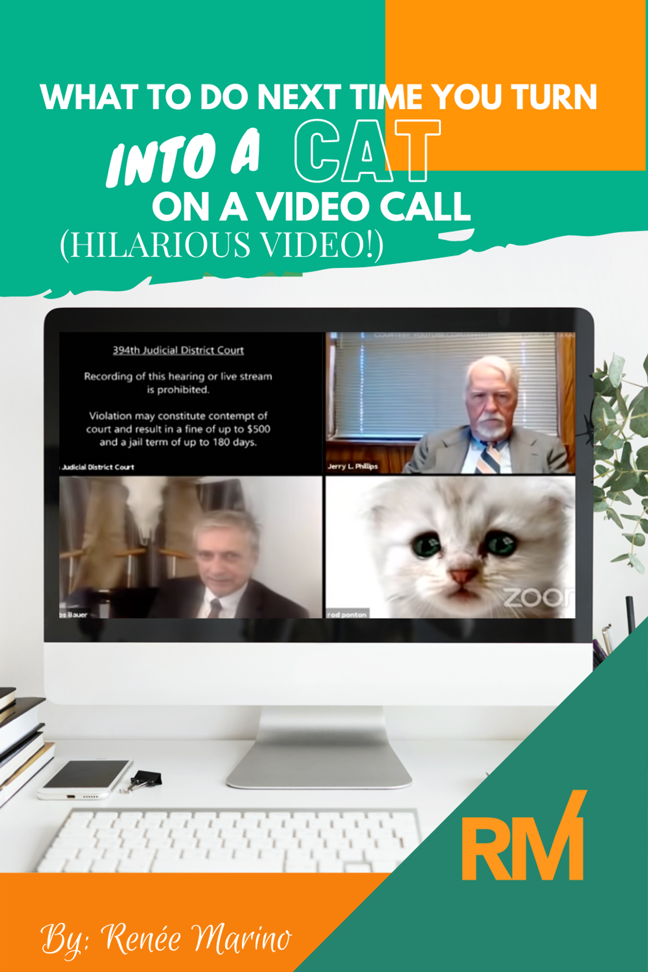Blog title graphic: a computer monitor on a desk showing a four-way video call grid, including the viral kitten-filter court hearing clip.