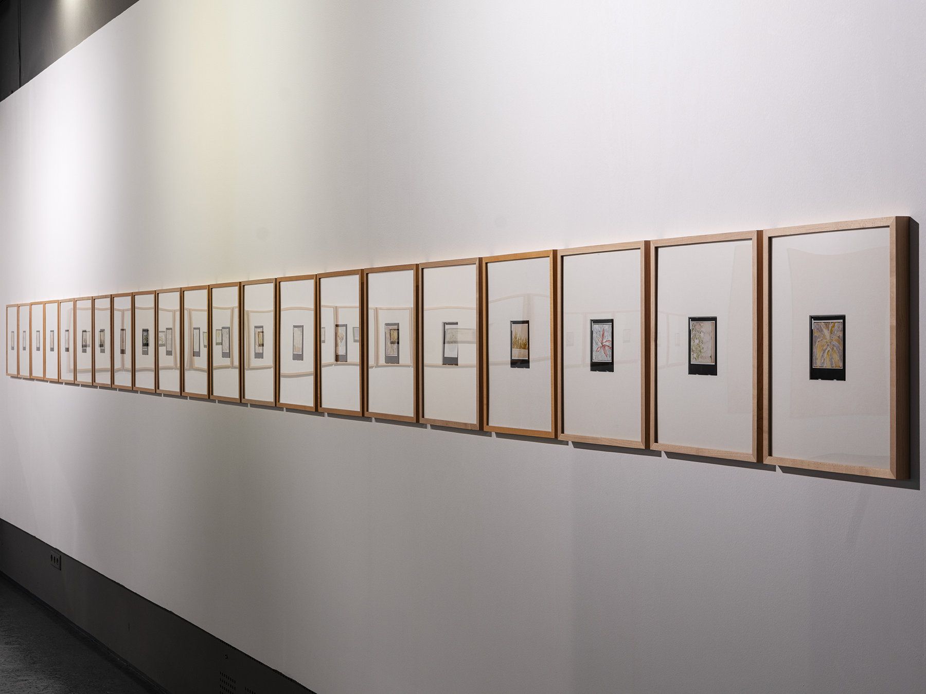 Collaborations — Morning Lights — installation view 4