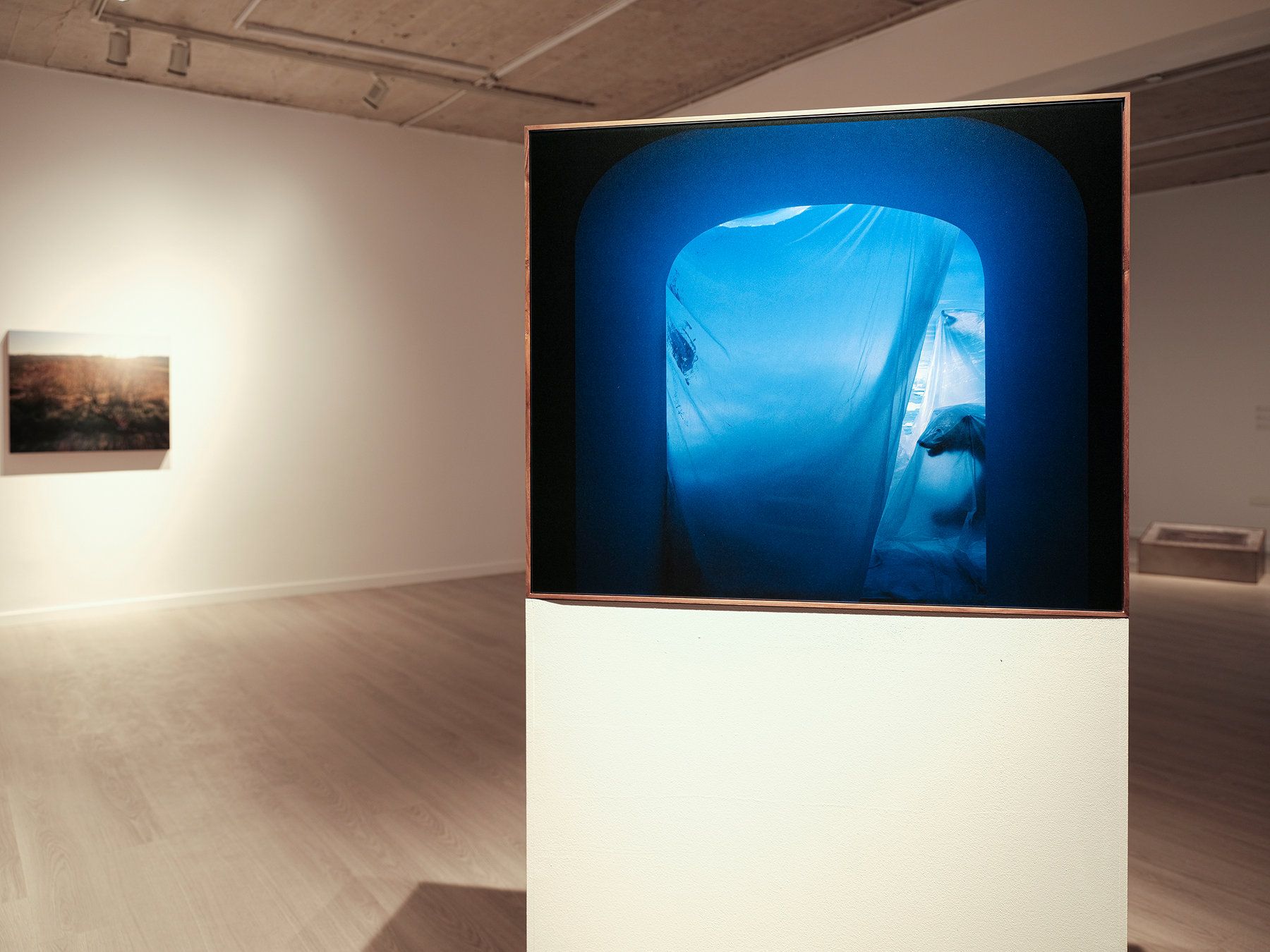 Collaborations — The Poetics of Politics — installation view 8
