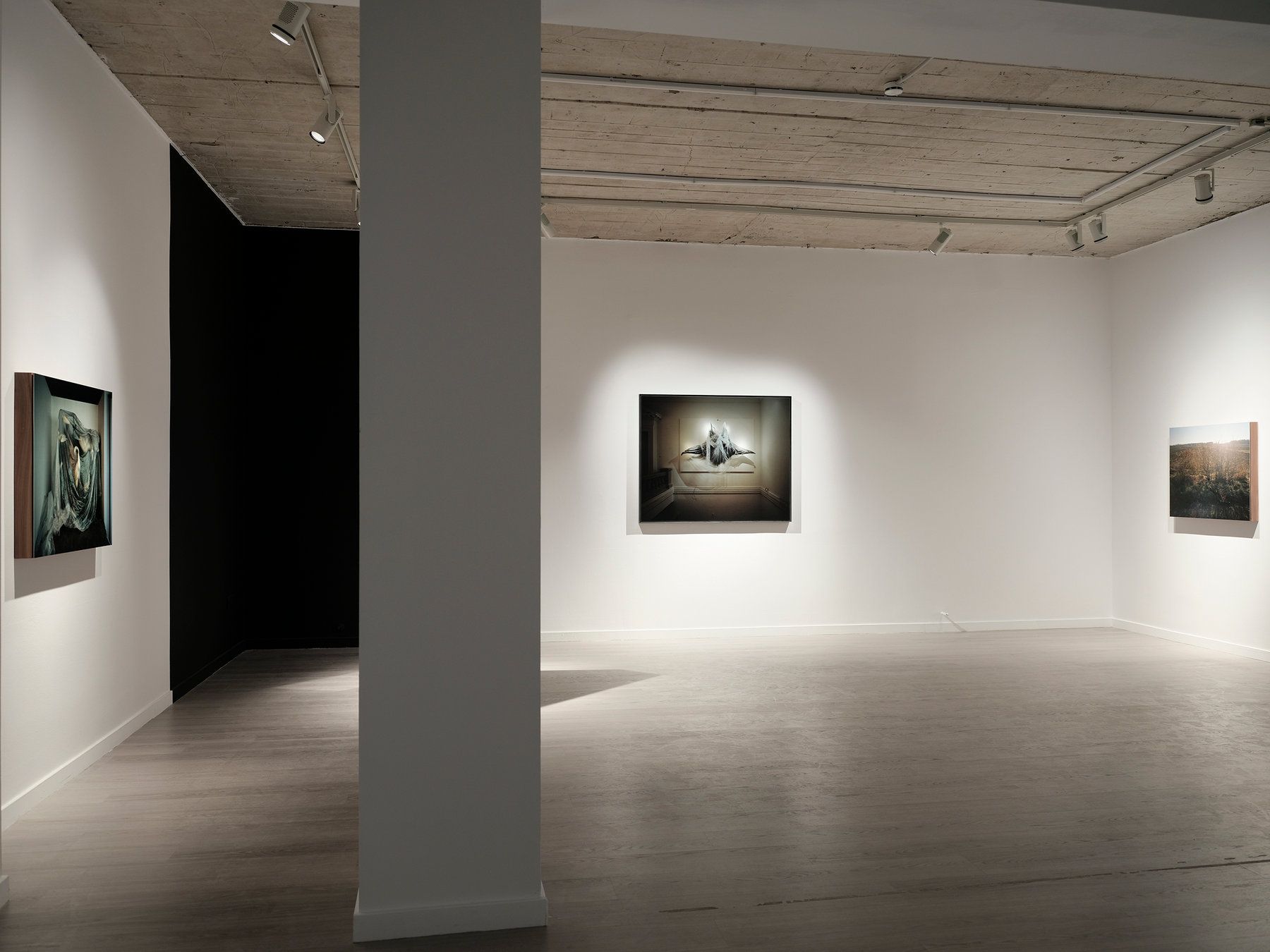 Collaborations — The Poetics of Politics — installation view 7