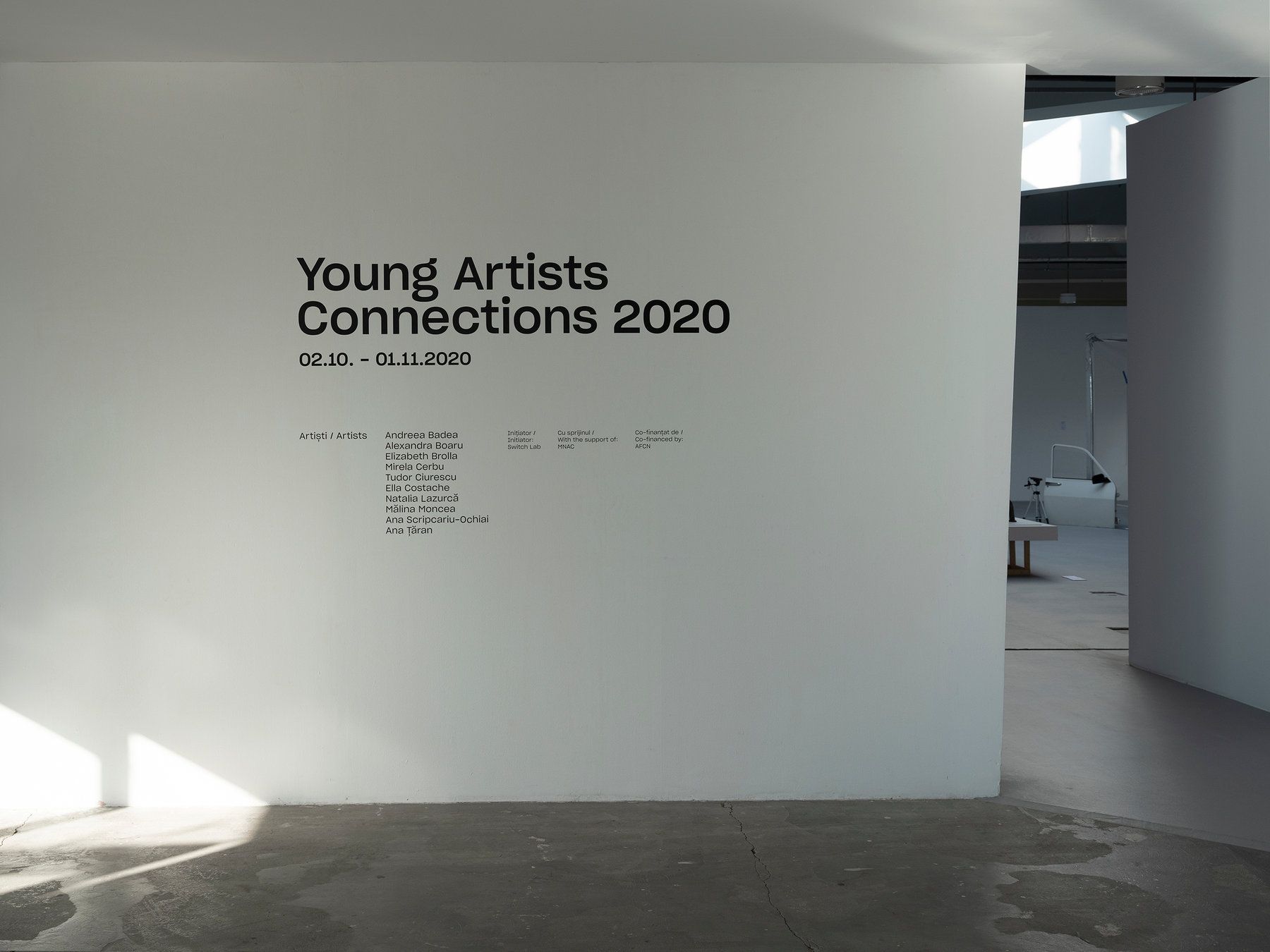 Collaborations — Young Artists Connections '20 — installation view 1