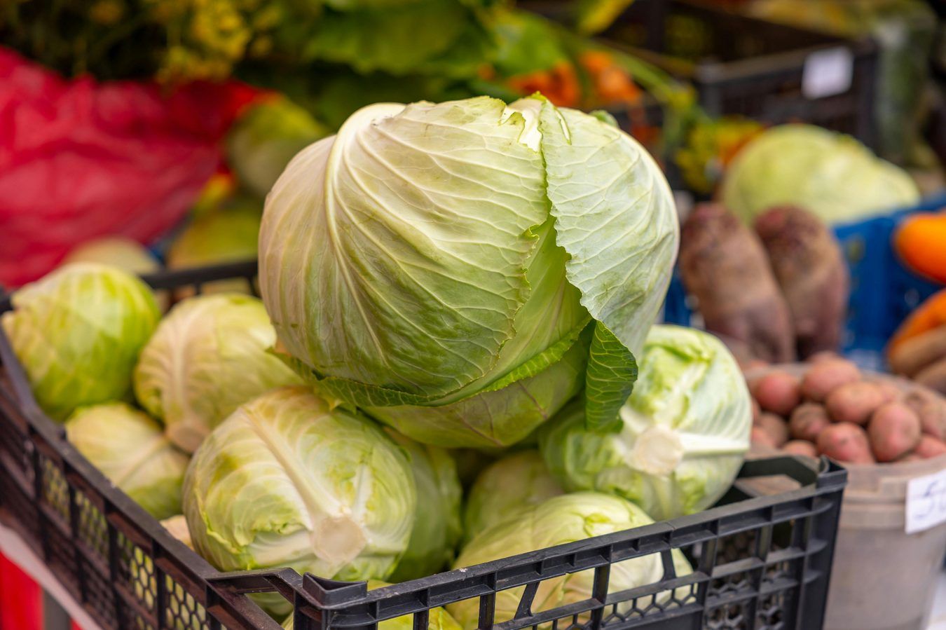 Vitaminas U gyvena paprasčiausiame baltojo kopūsto lape — štai ką jis daro jūsų skrandžiui