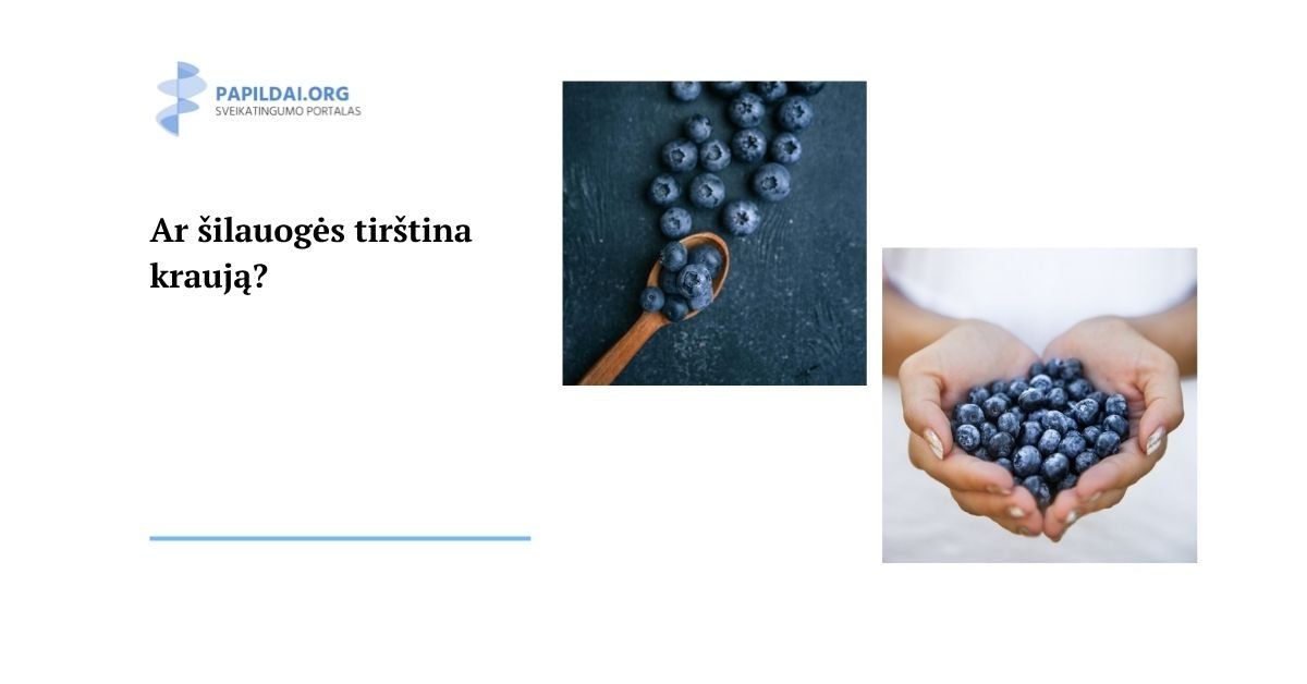 Ar šilauogės tirština kraują?