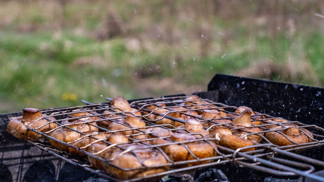 Piknike šampinjonai ant žarijų nustelbia šašlyką