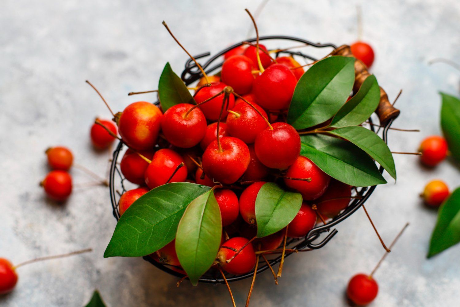Acerola (Barbadoso vyšnia): nauda, šalutinis poveikis, mitybos faktai, naudojimas ir dar daugiau