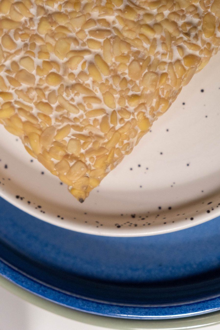 Fermentuota soja tempe: javietiškas briketas, kuris sotesnis ir skanesnis už tofą