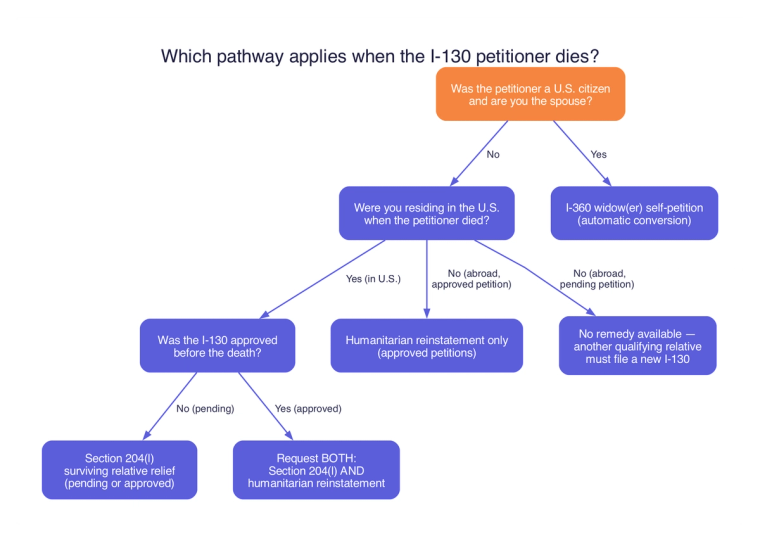 Flowchart of options when an I-130 petitioner dies, including Section 204(l) relief and humanitarian reinstatement