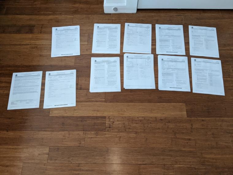 Our actual Green Card applications, circa 2020