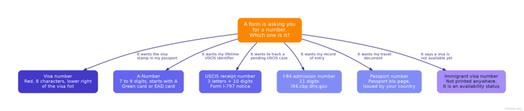 US Visa Number vs A-Number, Receipt Number and I-94 Decision Tree | Immiva Decision tree comparing the US visa number, A-Number, USCIS receipt number, I-94 admission number, passport number, and immigrant visa number, showing where each is found and what it identifies