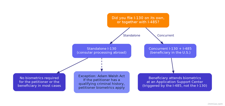 I-130 Biometrics Decision Tree: Standalone vs Concurrent Filings | Immiva Decision tree showing whether I-130 biometrics are required based on whether the petition was filed standalone or concurrent with I-485, including the Adam Walsh Act exception for petitioners with qualifying criminal history
