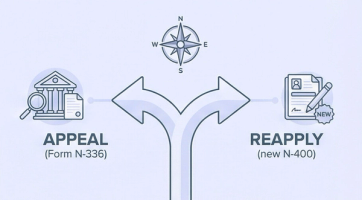 N-400 Denial Appeal vs Reapply Decision | Immiva Visual guide showing options after N-400 citizenship denial including appeal and reapplication paths