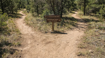 J-1 Status Holder and Dependent Path Fork Sign in Woods | Immiva Wooden trail sign in the woods pointing two directions labeled J-1 status holder path and dependent path, representing J-2 EAD transitions when J-1 changes status
