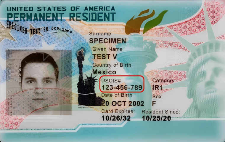 Green card with the A-Number marked | Immiva Front of a U.S. green card with the Alien Registration Number (A-Number) highlighted, showing exactly where to find the A-Number on the card
