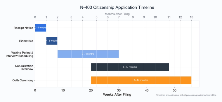Timeline chart showing the five steps after filing N-400: receipt, biometrics, waiting, interview, and oath