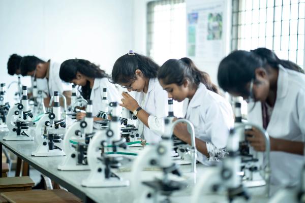 School of Pharmacy