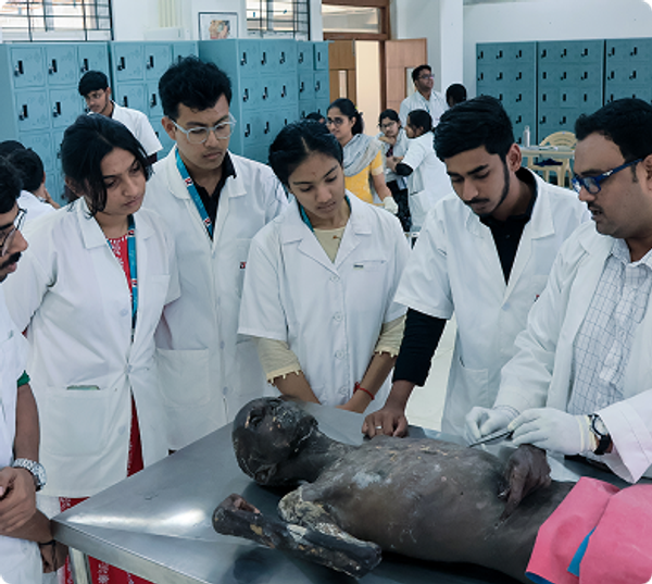 School of Medical Science