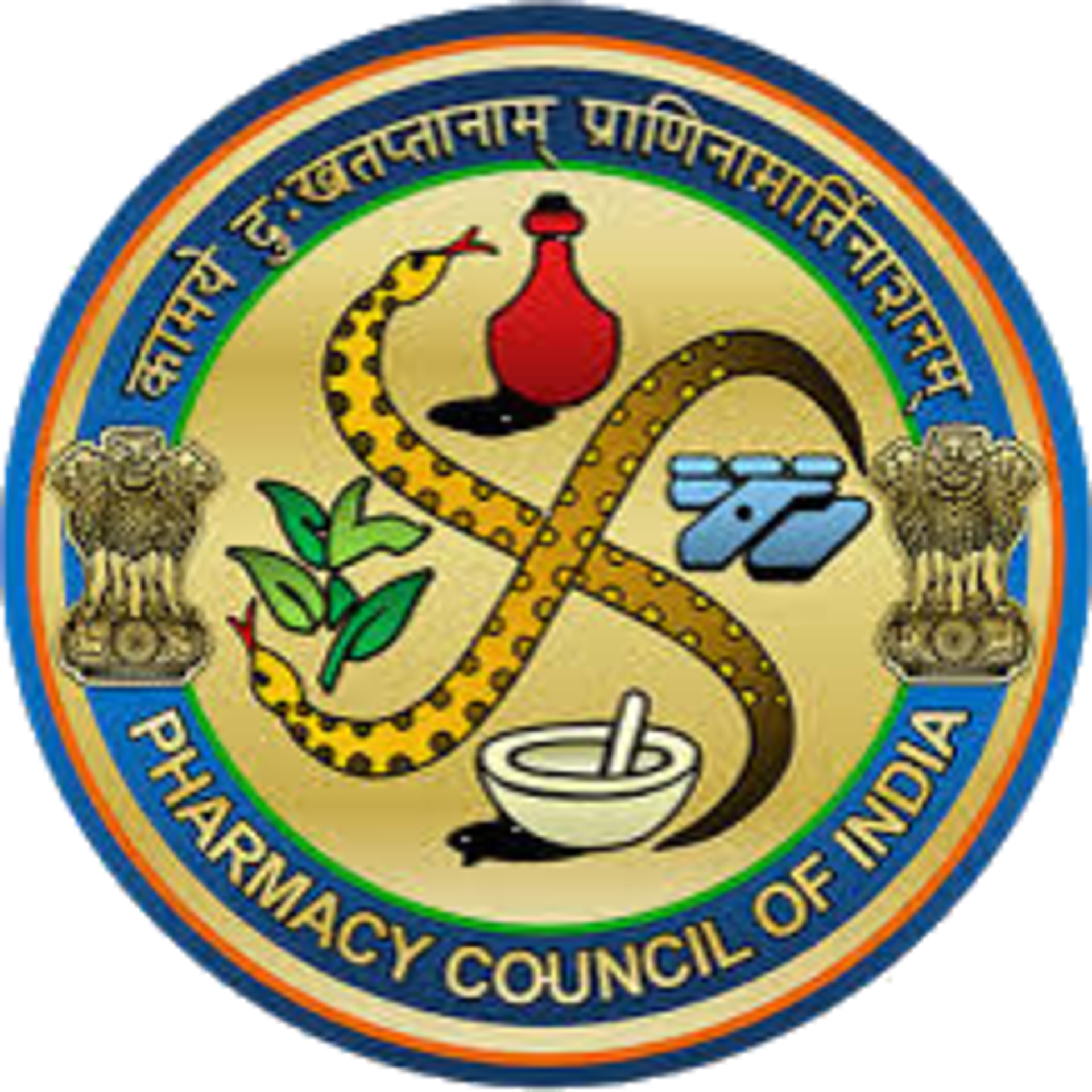 PCI Image