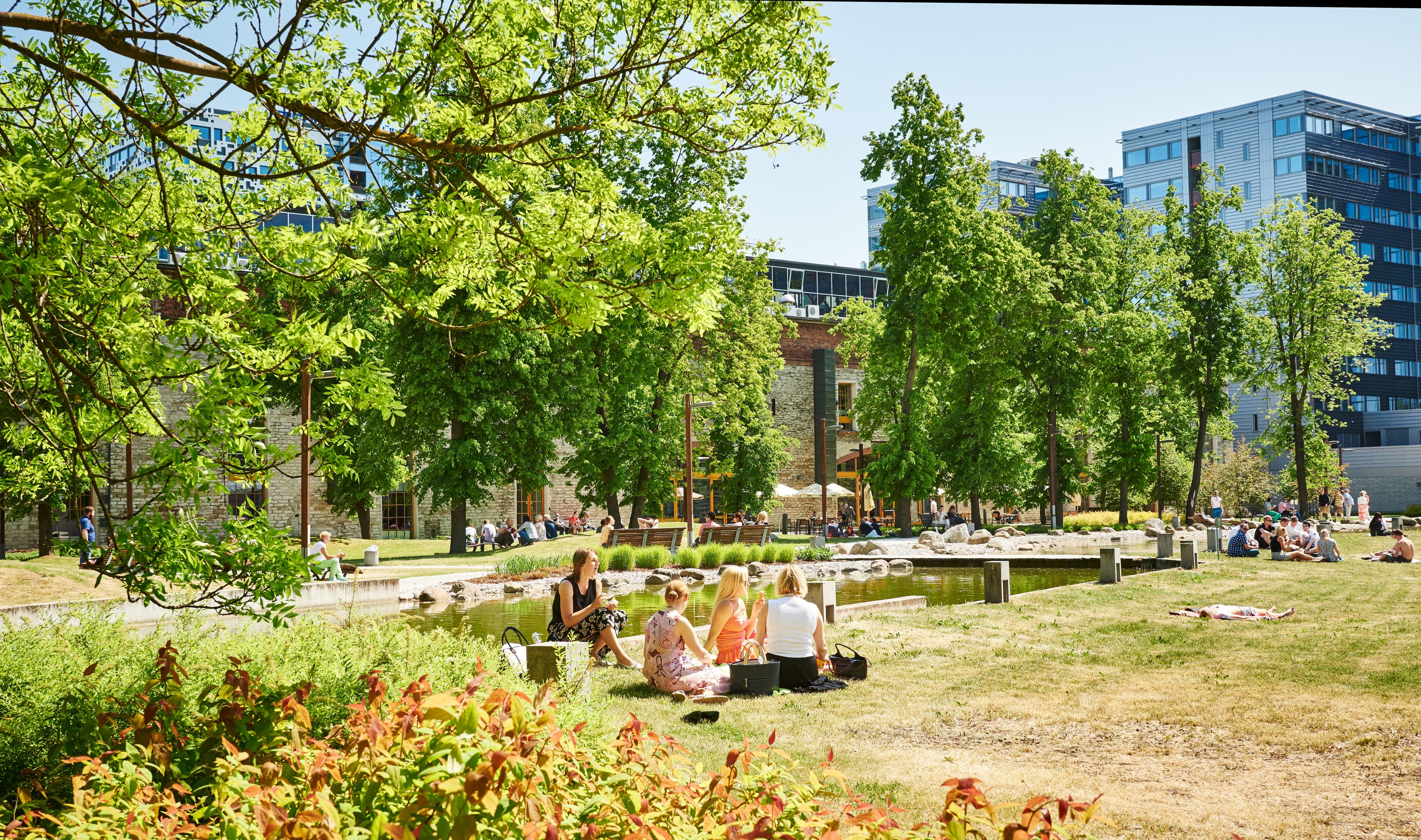 A photo of a park in sunlight. The grass is green, the trees are flourishing. People are sitting on the grass in small groups, conversing.