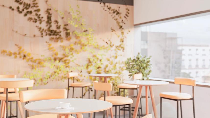 A photo of bright furniture. Chairs and tables are bathed in sunlight through a window, the wall is adorned with plants.