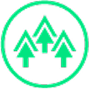Understory