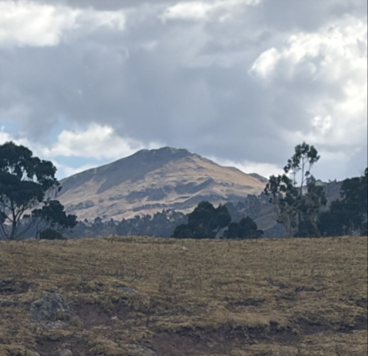A wide landscape of a grassy field with scattered trees in the foreground and a large, hazy mountain rising under a cloudy blue sky.