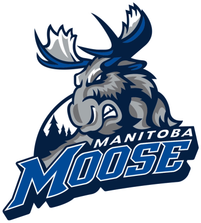 Moose du Manitoba