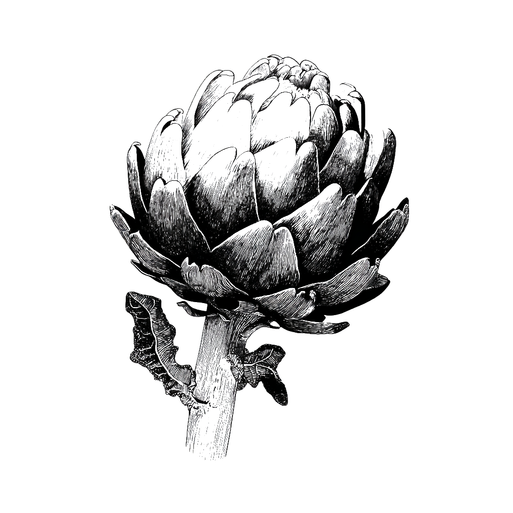 Artichoke